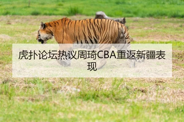 虎扑论坛热议周琦CBA重返新疆表现